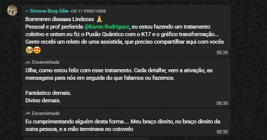 Depoimento Simone Borg Gáia